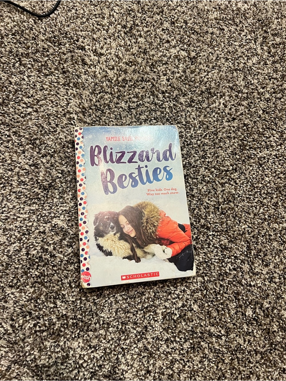 Scholastic Blizzard Besties — Blue and Red Illustrated Cover